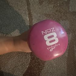8lbs Dumbbell 