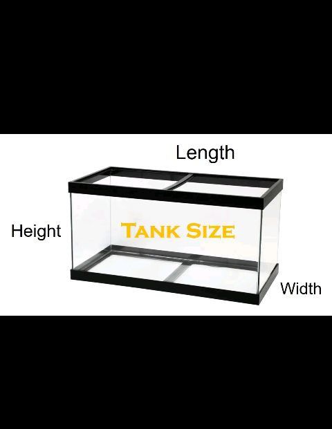 I Have Multiple Fish Tanks Available From A 10 Gallon - 75 Gallon 