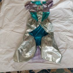 Ariel Halloween Costume