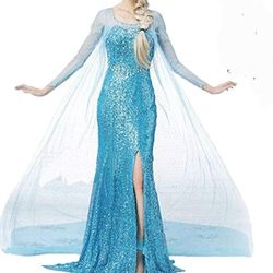 Frozen Elsa Costume Dress Snow Queen Princess Dress for Women adult Fancy Party Dress Up Halloween Cosplay Costum
