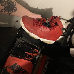 Air Jordan 6 Spizike