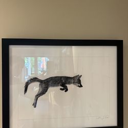 Fox drawing framed print