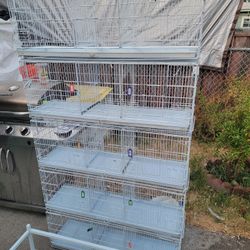 Jaulas Cages 