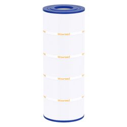 Wowreed Pool Filter Compatible with CS100, R0462200, PJANCS100, C-8410, FC-0821, 1 Pack.