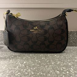 Luxury Brown Women’s Purse 