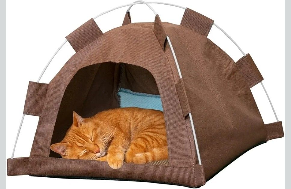 Cat Tent house 