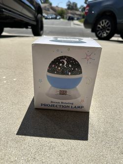 Projection Lamp