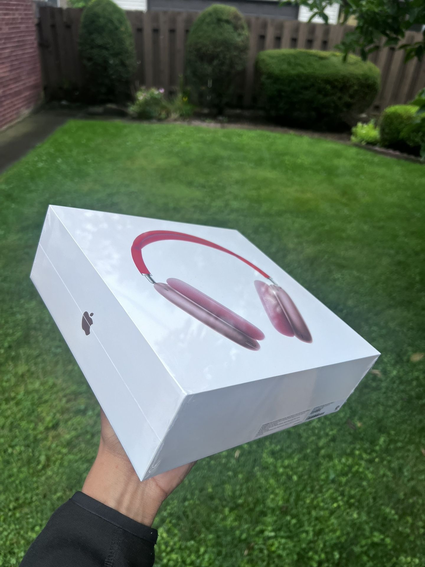 Air Pod Max