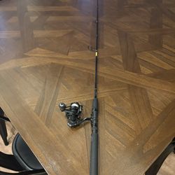 Profishiency Fishing Rod