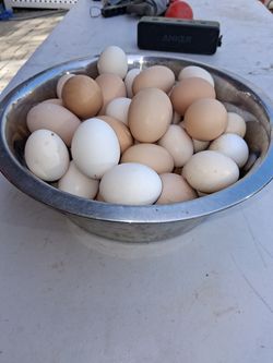 Organic eggs