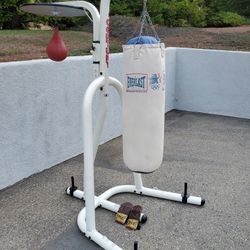 Boxing Stand With Heavy Bag, Speed Bag, Gloves