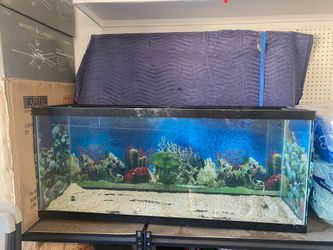 Aquarium