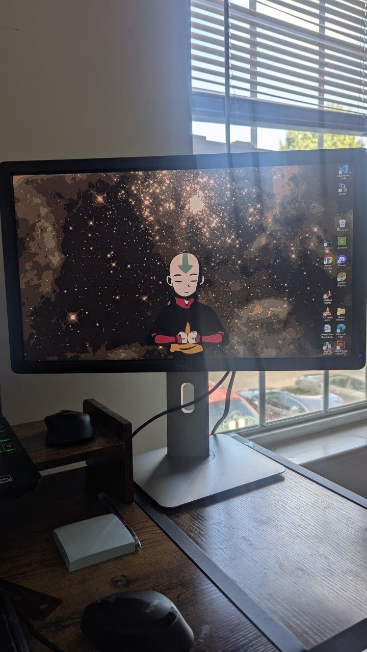 22" Dell monitor