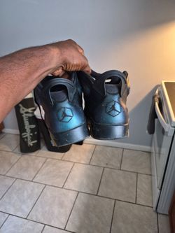 Jordan Chameleon 6s