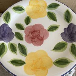 Plates Brand New