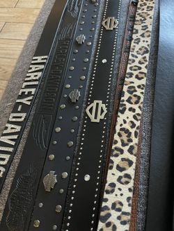 Harley Davidson Belts 