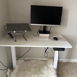 Ergonomic Office Desk - 40 X 24