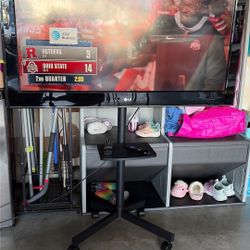 LG 47 in TV with TV Stand