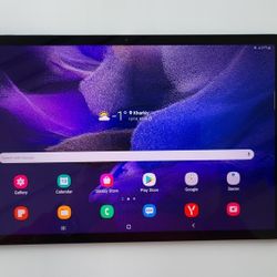 Samsung Tab S7 FE 