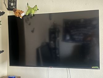 55” Tv