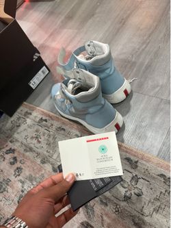 Prada America cup size 12