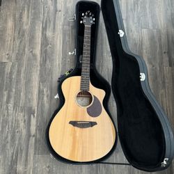 Breedlove Acoustic / Electric guitar