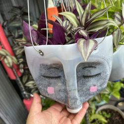 Gallon Face Planter