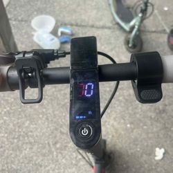 Electric Scooter 
