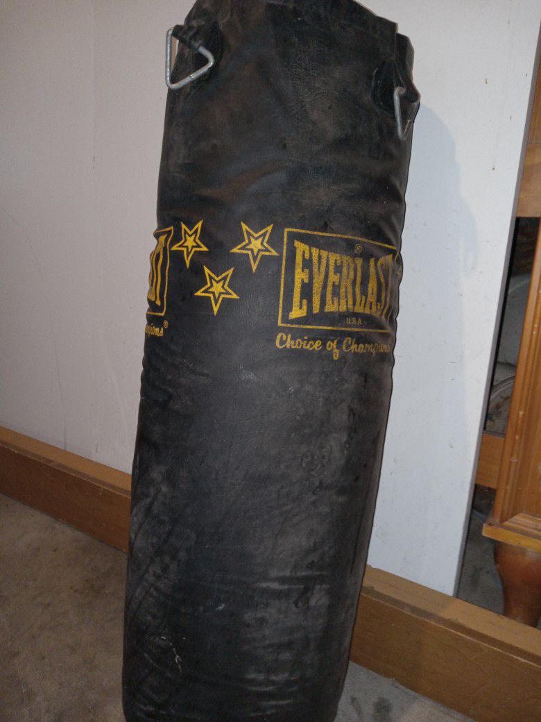 Used Everlast Heavy Bag