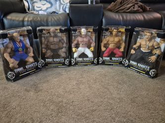 WWE Figure.