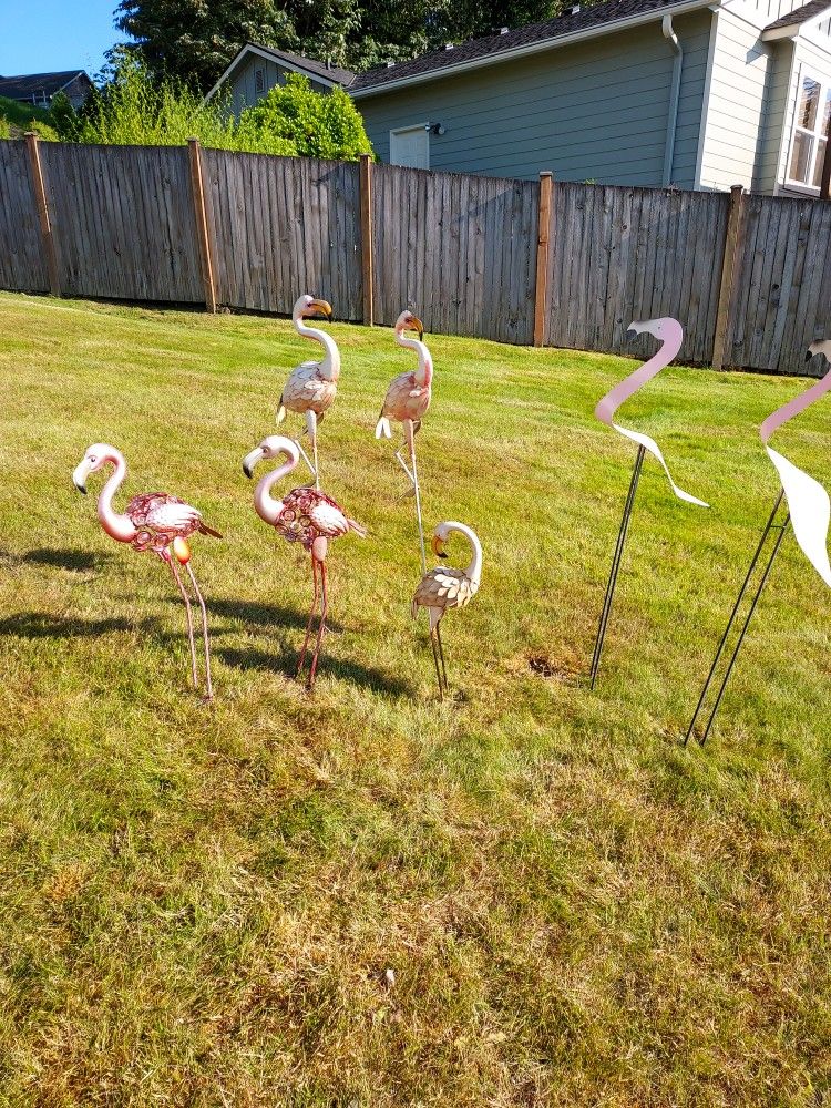 Yard Flamingos