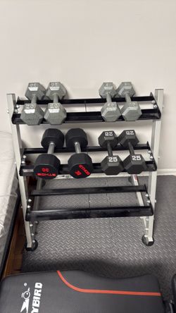 15-30 pound dumbells, bench, heavy extension bands