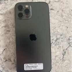 iPhone 12 Pro Max 