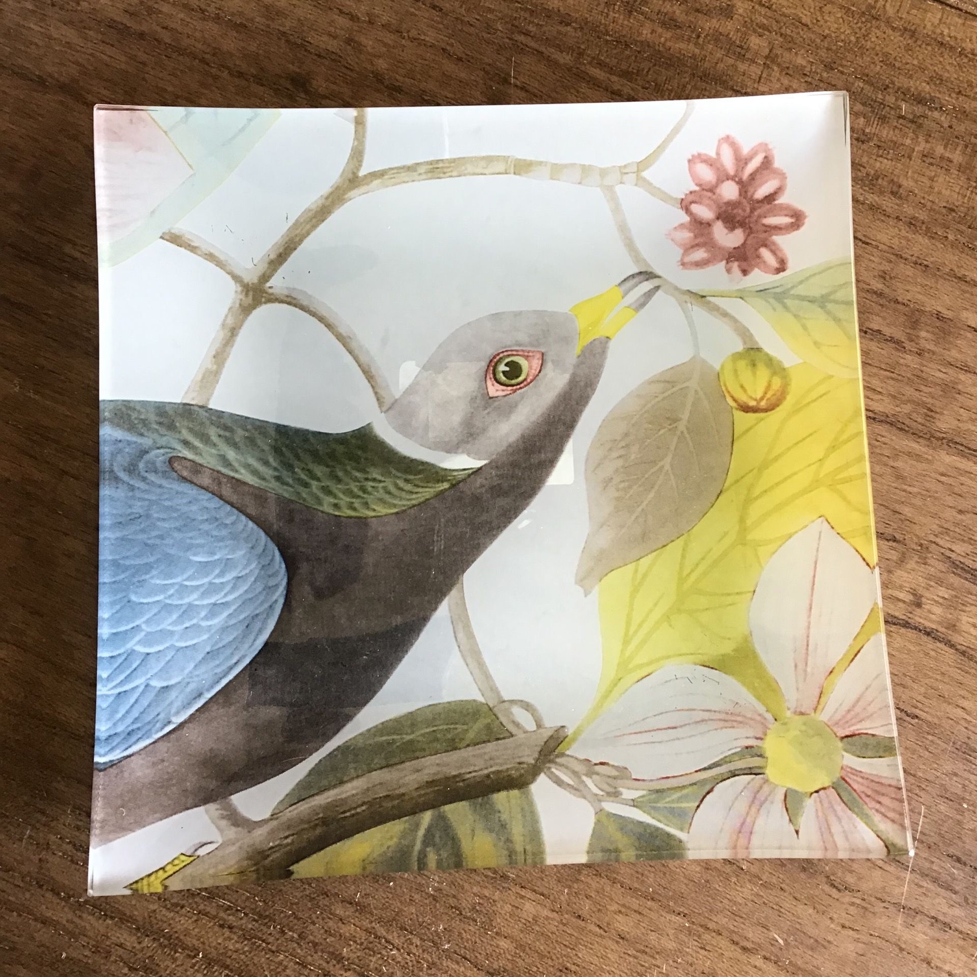 NEW John Audubon Birds of America Decorative Glass Tray (8”x8”)