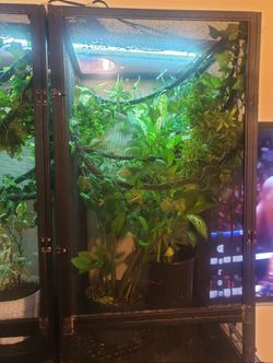 Chameleon Cage