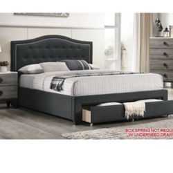 Modern Queen Size Platform Bed with Storage Drawer. Mattress Sold Separately 