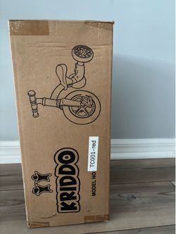 Tricycle Bike