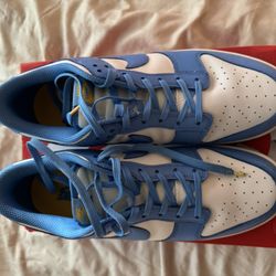 Nike Dunk Coast Size 11