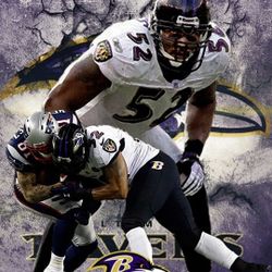 Baltimore Ravens Ray Lewis Photo 