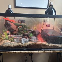 Snake Tank