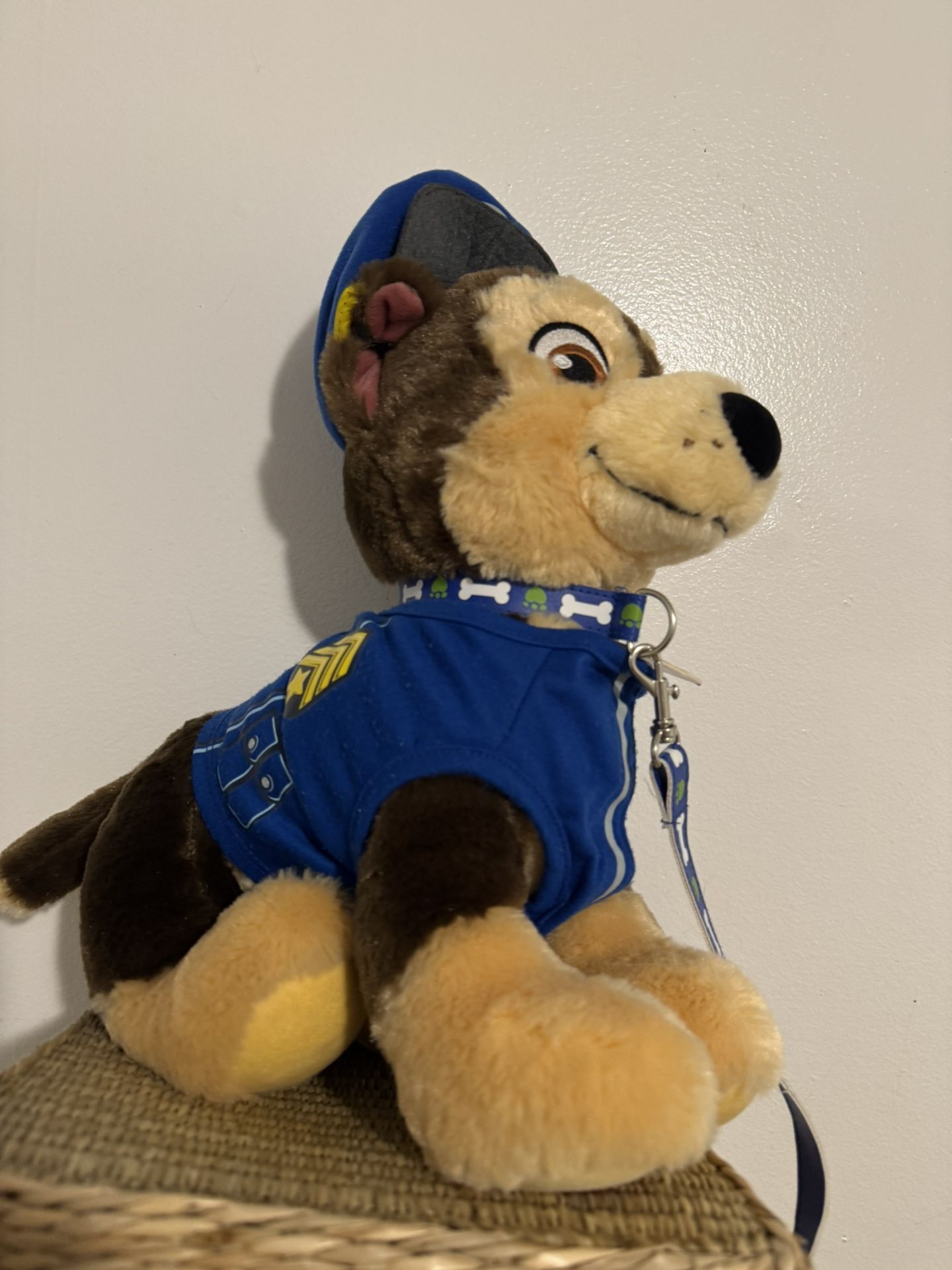 Paw Patrol Chase