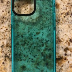 iPhone 13 Pro max Cases