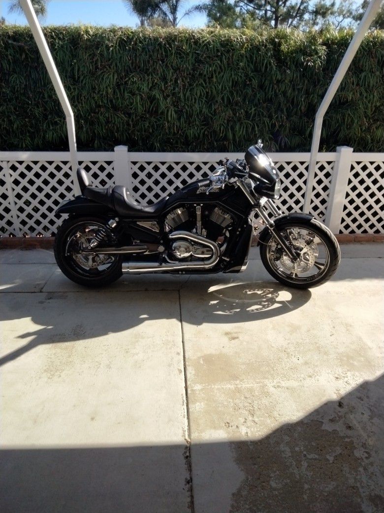 2006 Vrscd Night rod special