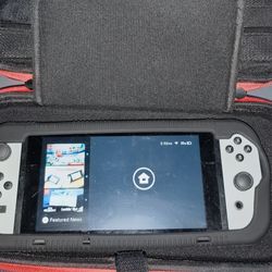 Nintendo Switch & Case(No Charger or Dock)