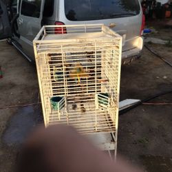 Very Nice Heavy Duty Bird Cage