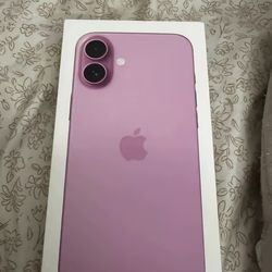 iPhone 16 Purple