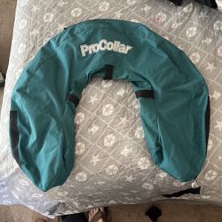 Inflatable Dog Collar Large 