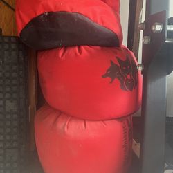 Cerberus Strongman Sandbags