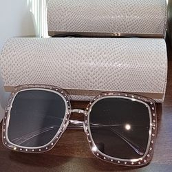Jimmy Choo Women Dany  Sunglasses