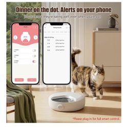 New Smart Cat or Dog Feeder
